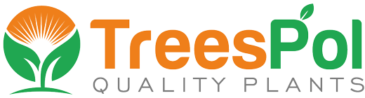 ovocné okrasné stromy výroba kríkov v Poľsku